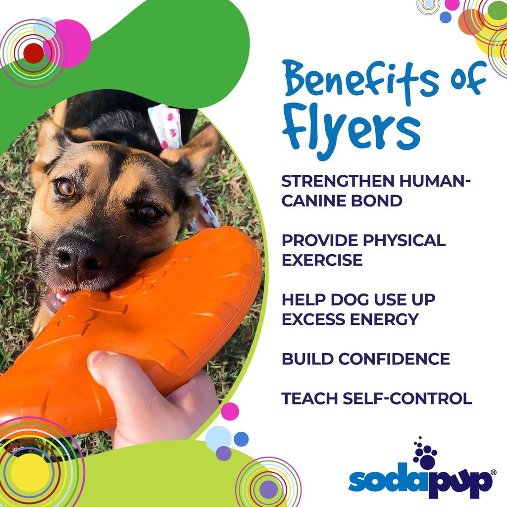Bottle Top Flyer Durable Rubber Retrieving Frisbee