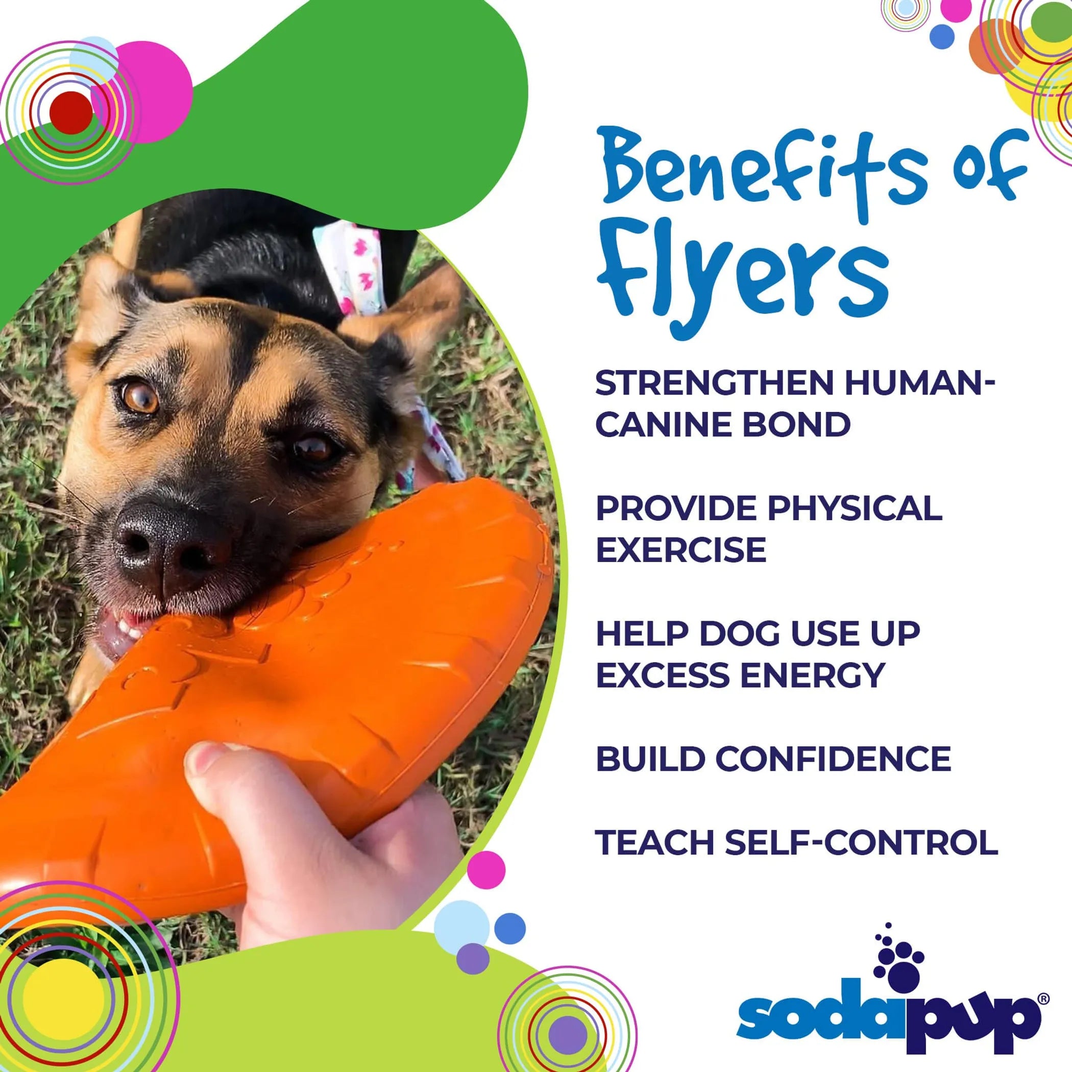Bottle Top Flyer Durable Rubber Retrieving Frisbee