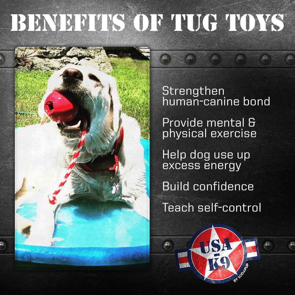 USA-K9 Cherry Bomb Durable Rubber Chew Toy, Treat Dispenser, Reward Toy
