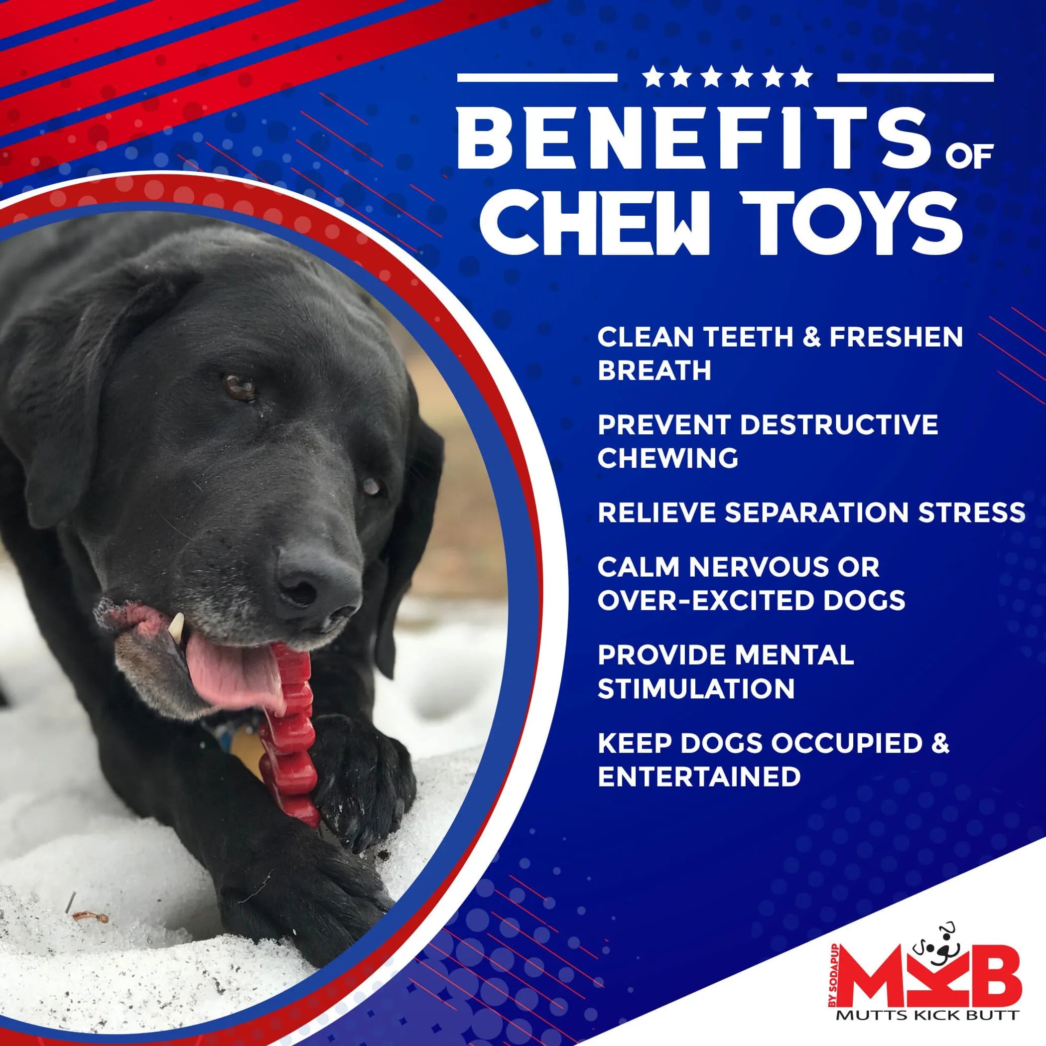 Christmas Tree Nylon Dog Chew Toy for Aggressive Chewers  & FDA Compliant