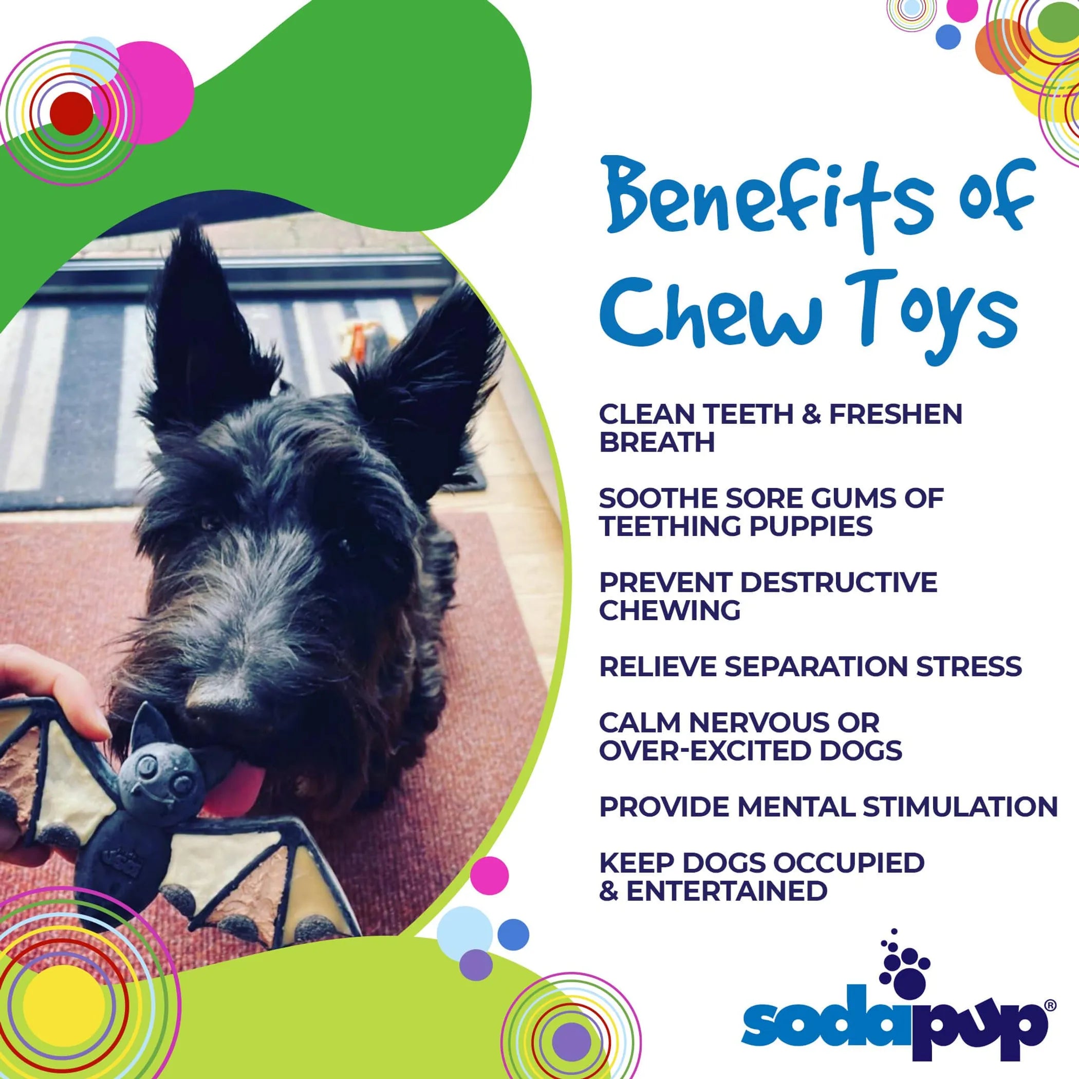 Vampire Bat Nylon Dog Chew Toy for Aggressive Chewers  & FDA Compliant