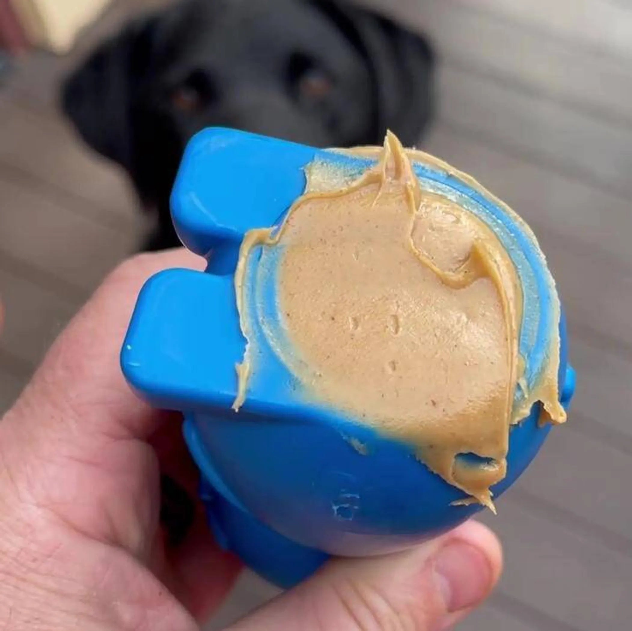 Bunny Nylon Chew Toy for Aggressive Chewers