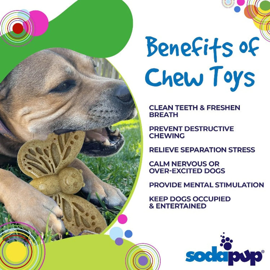 Butterfly Nylon Chew & Enrichment Toy | 2-in-1 for Aggressive Chewers