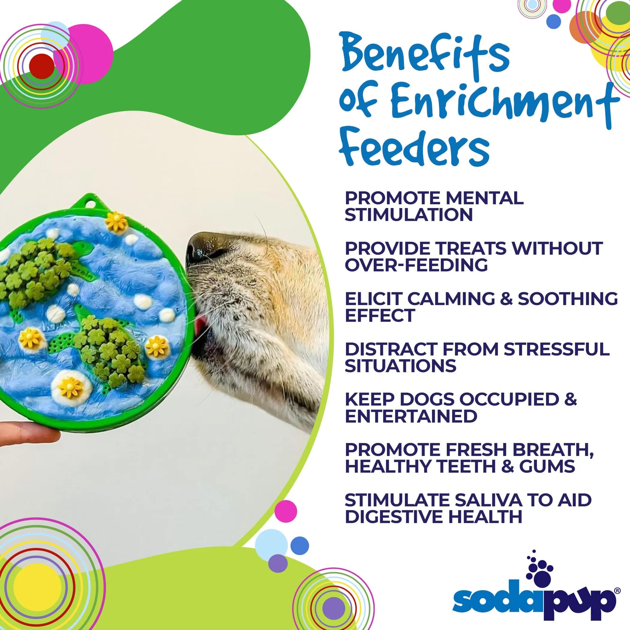 Water Nylon eCoin Durable Enrichment Snacking Coin for Dogs