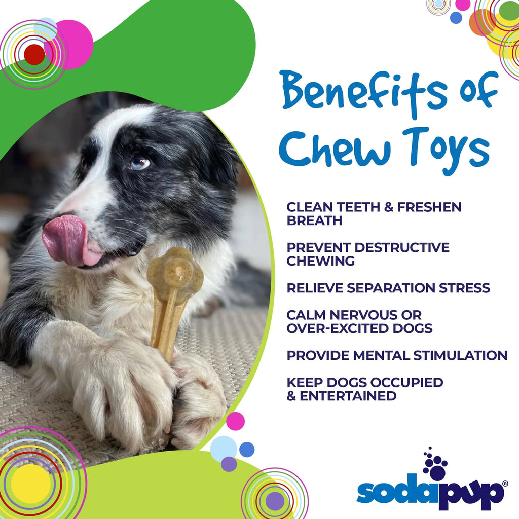 Knuckle Bone Nylon Dog Chew Toy for Aggressive Chewers