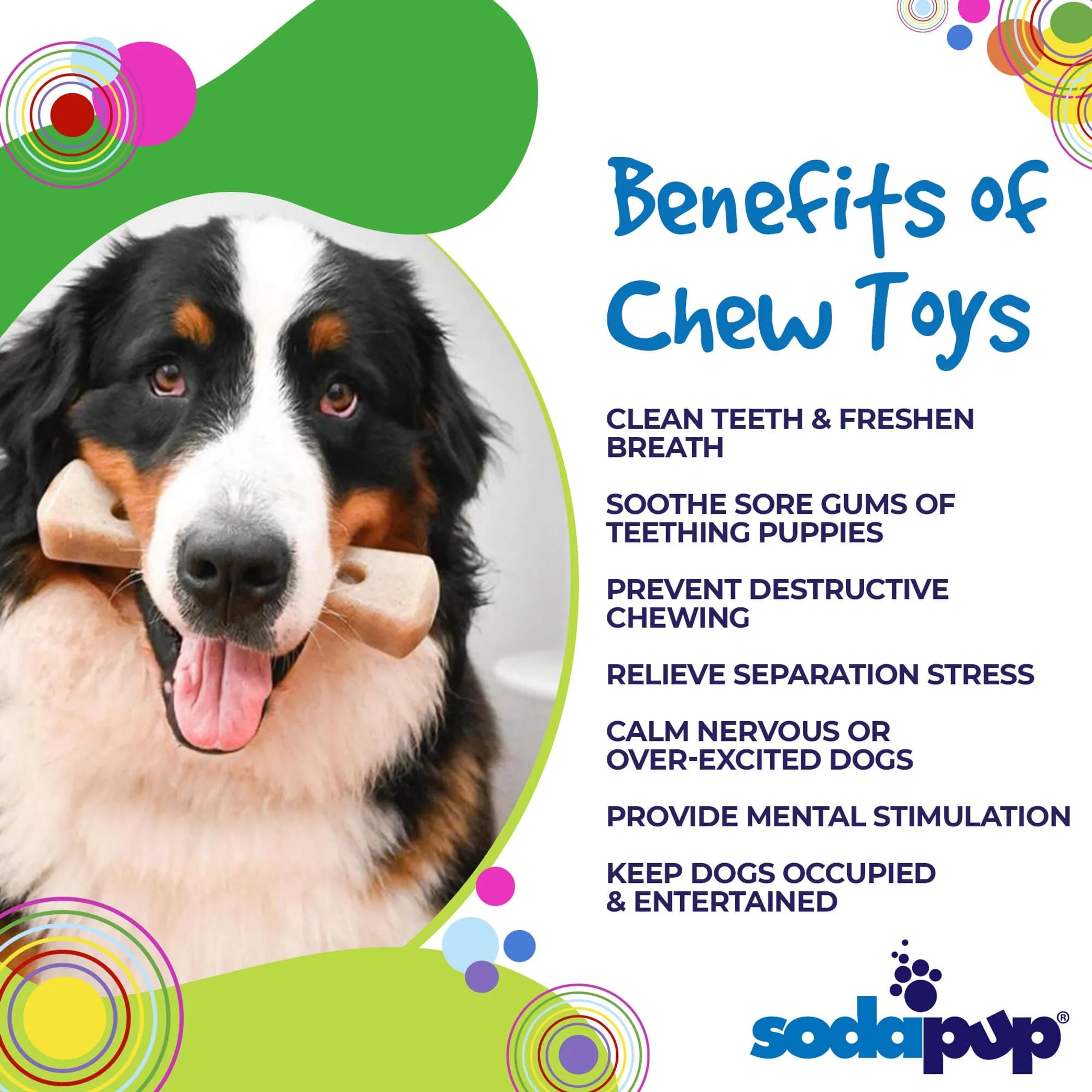 MOD Bone Nylon Dog Chew Toy for Aggressive Chewers
