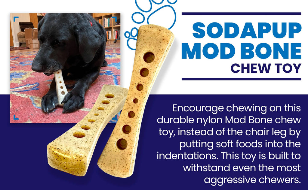 MOD Bone Nylon Dog Chew Toy for Aggressive Chewers