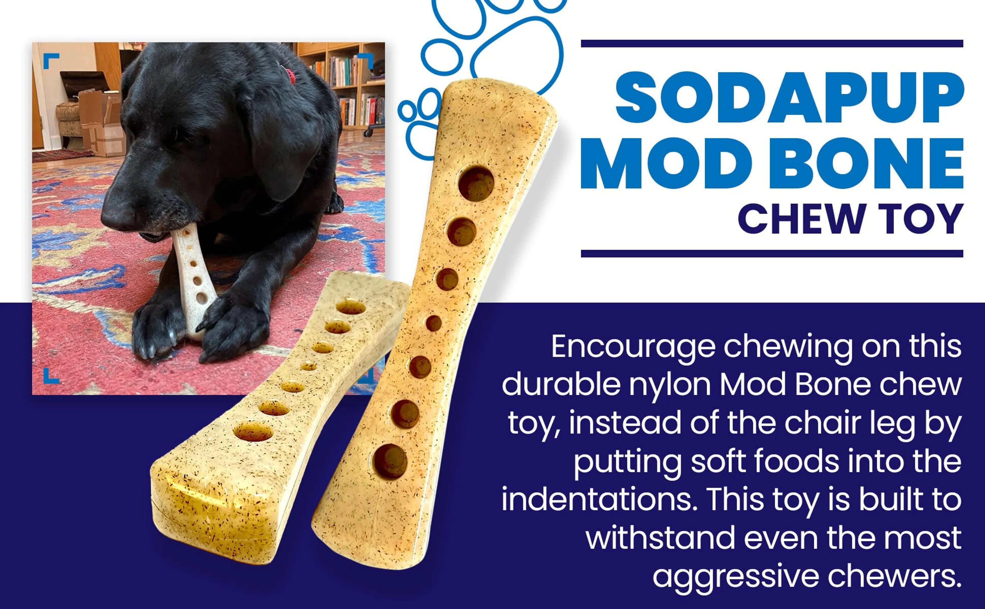 MOD Bone Nylon Dog Chew Toy for Aggressive Chewers