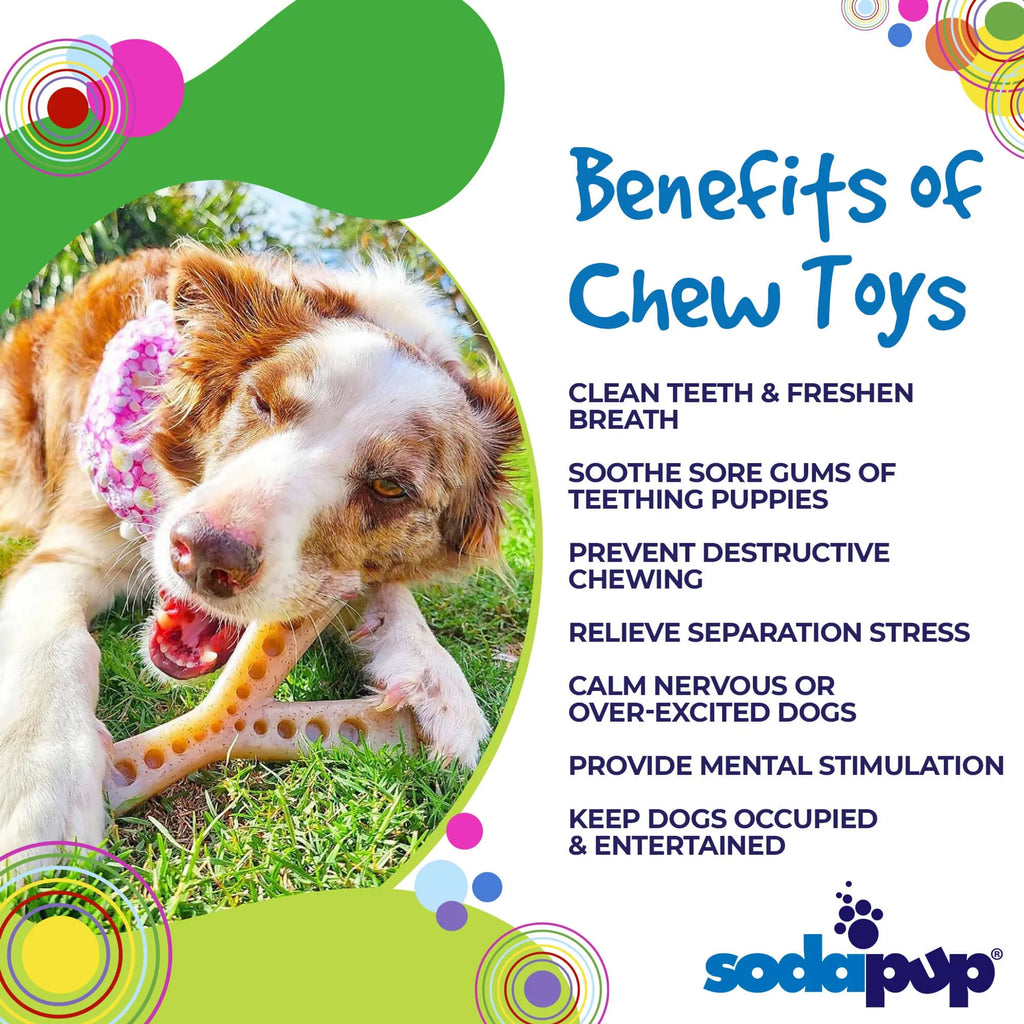 MOD Wishbone Nylon Dog Chew Toy for Aggressive Chewers
