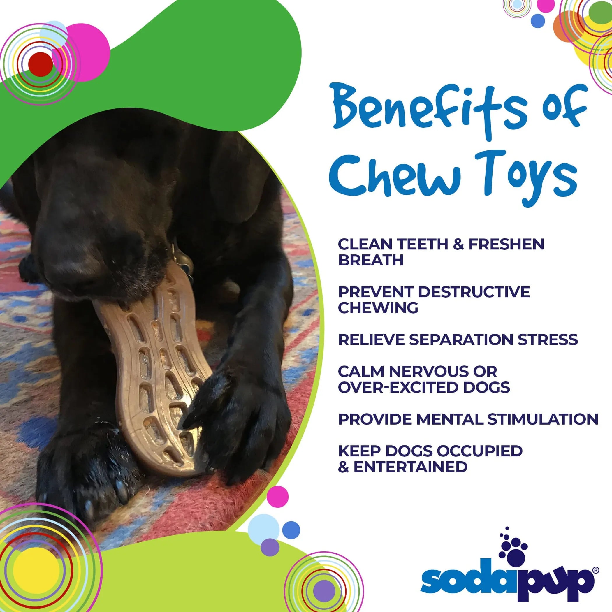 Peanut Nylon Dog Chew Toy | Ultra-Durable for Aggressive Chewers