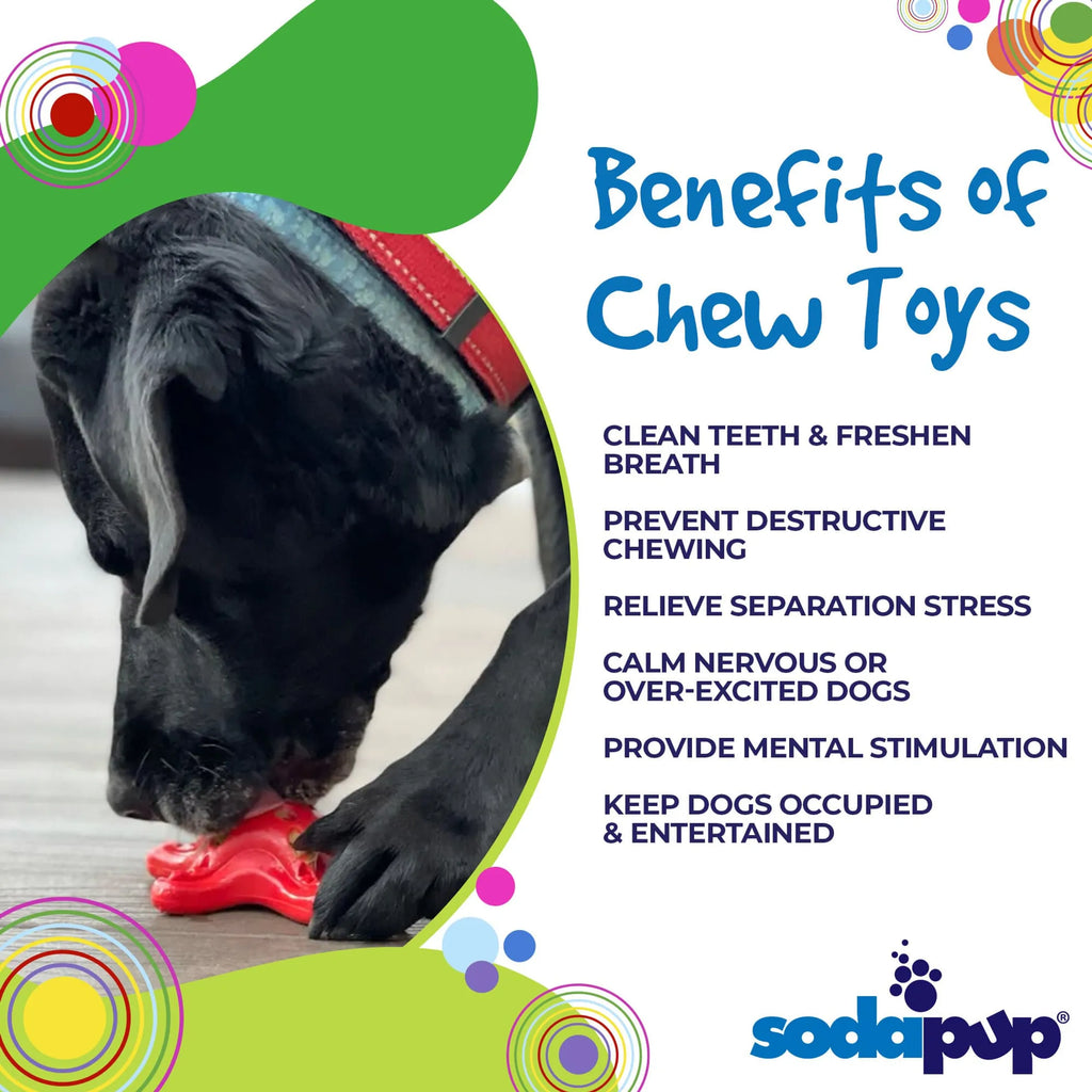 Starfish Nylon Dog Chew Toy for Aggressive Chewers