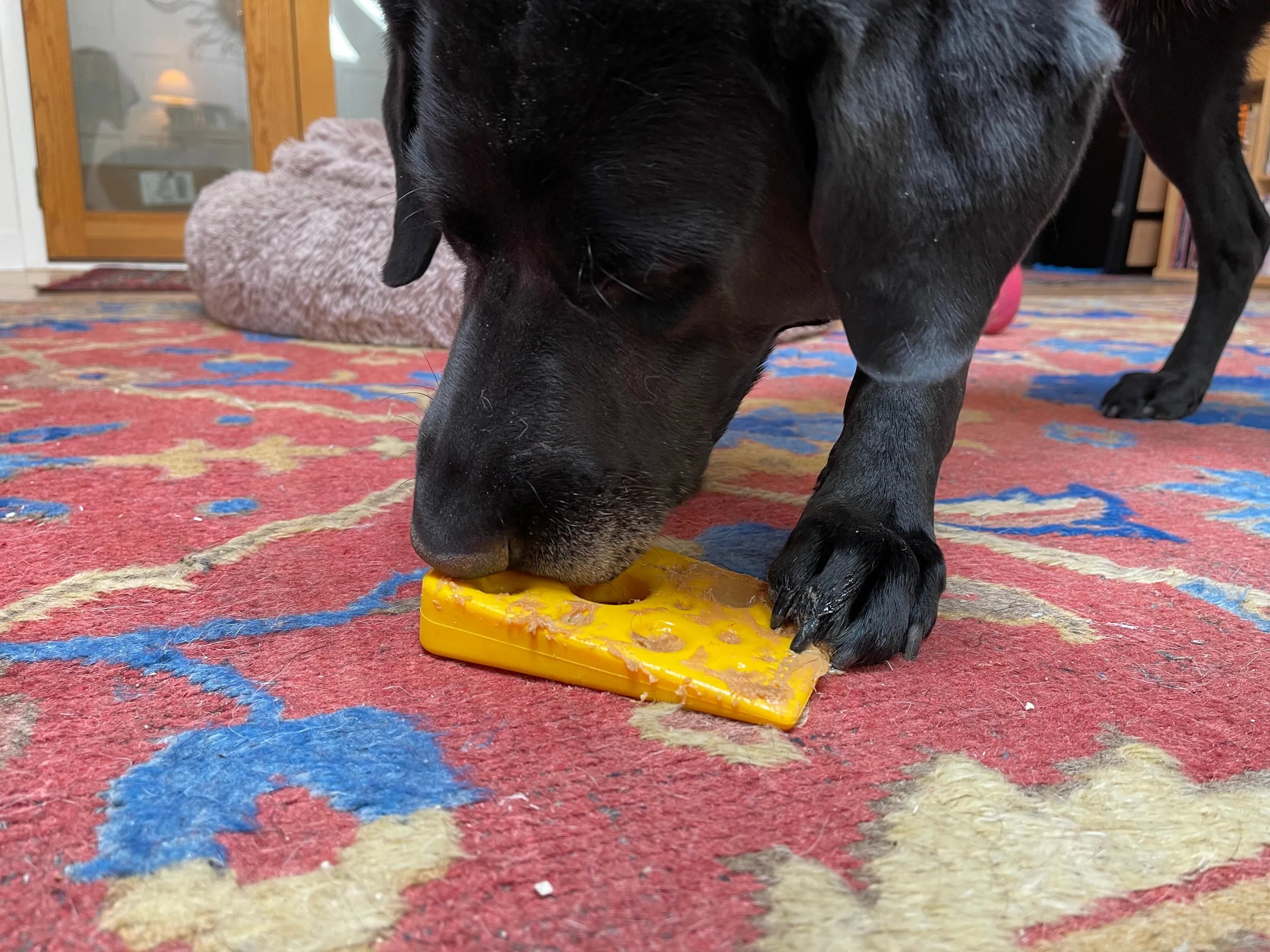 Swiss Cheese Wedge Nylon Dog Chew Toy for Aggressive Chewers