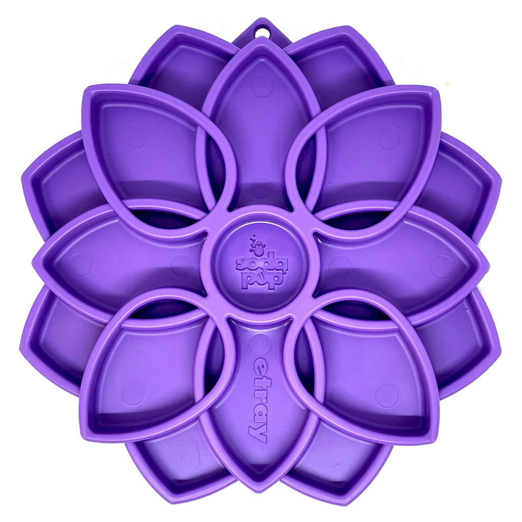 Mandala eTray Shallow Slow Feeder Dog Bowl for Enrichment