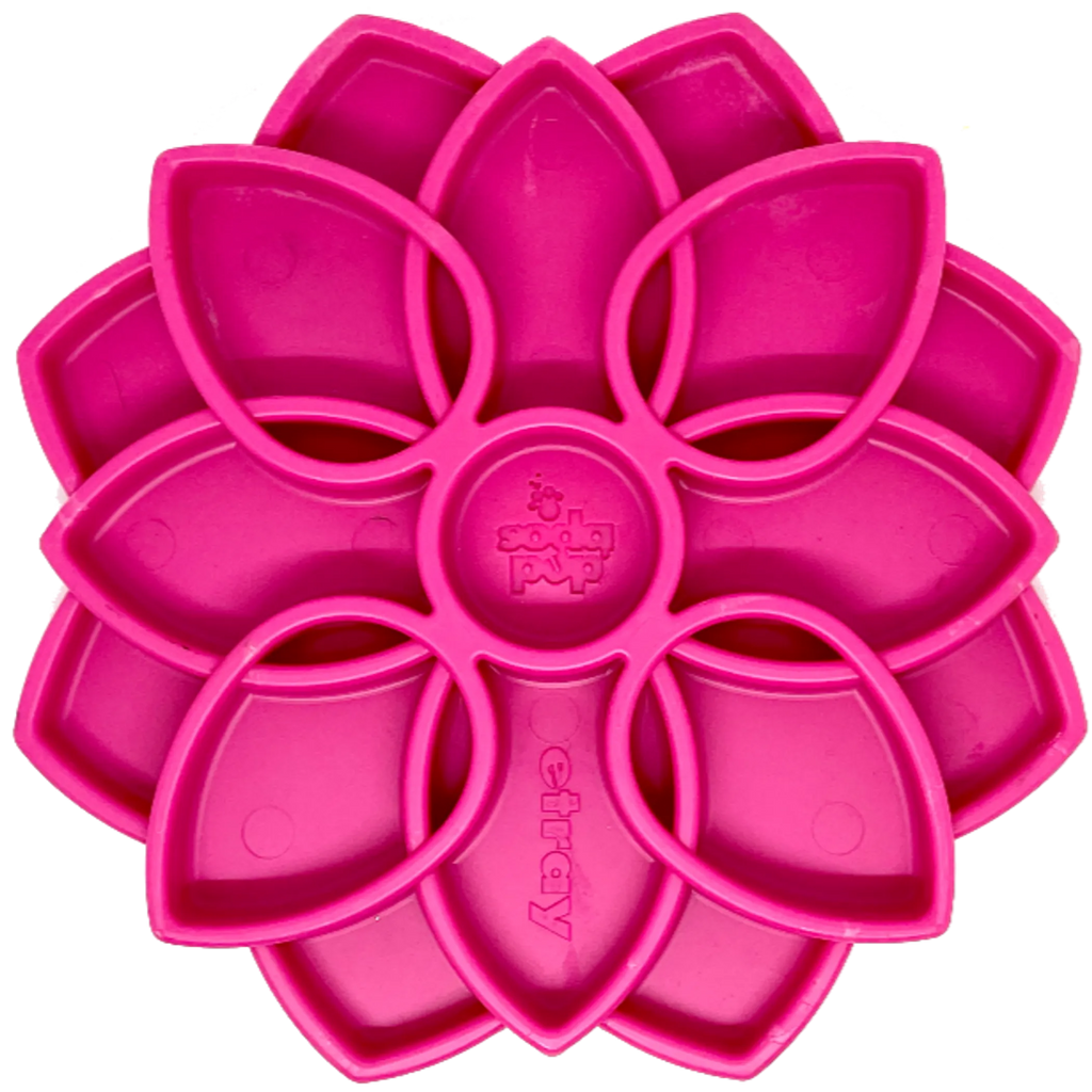 Mandala Design eTray Enrichment Tray for Dogs