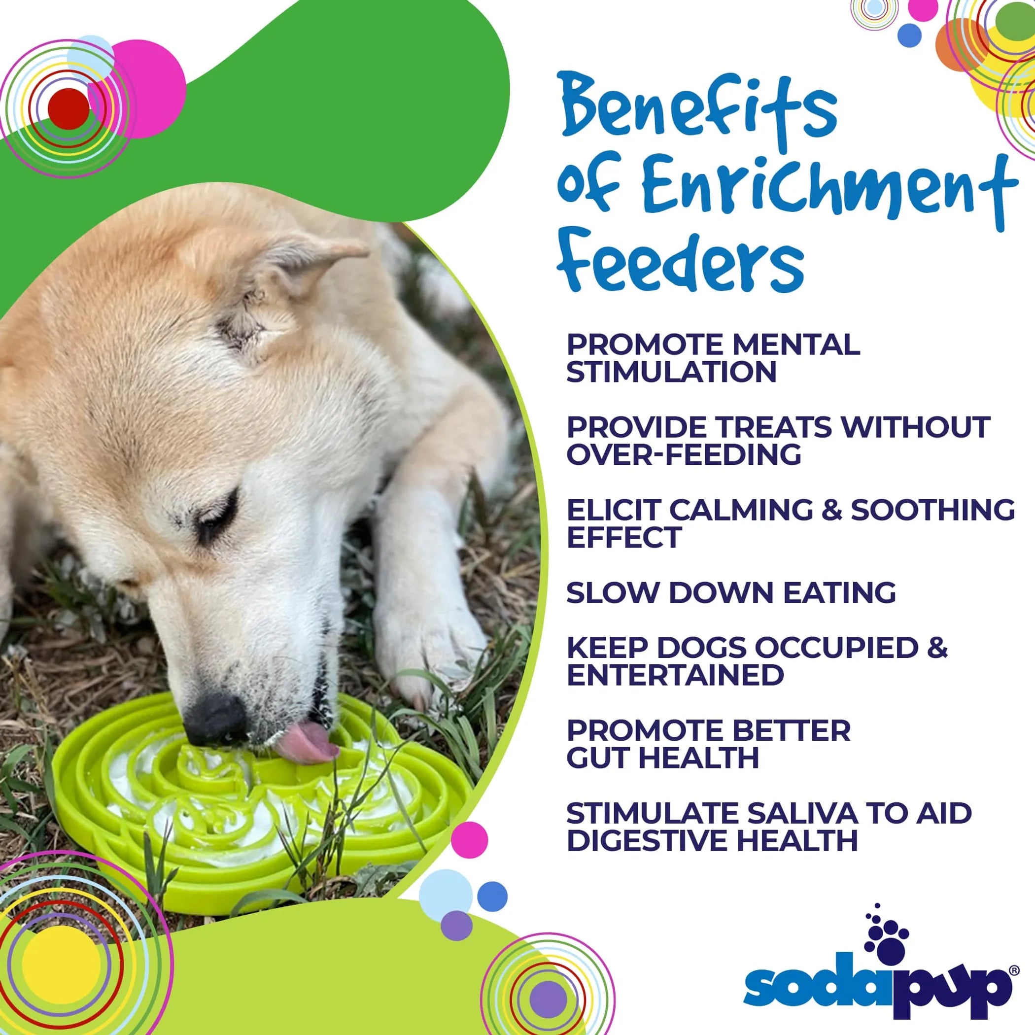 Water Frog eTray - Shallow Slow Feeder Dog Bowl for Enrichment