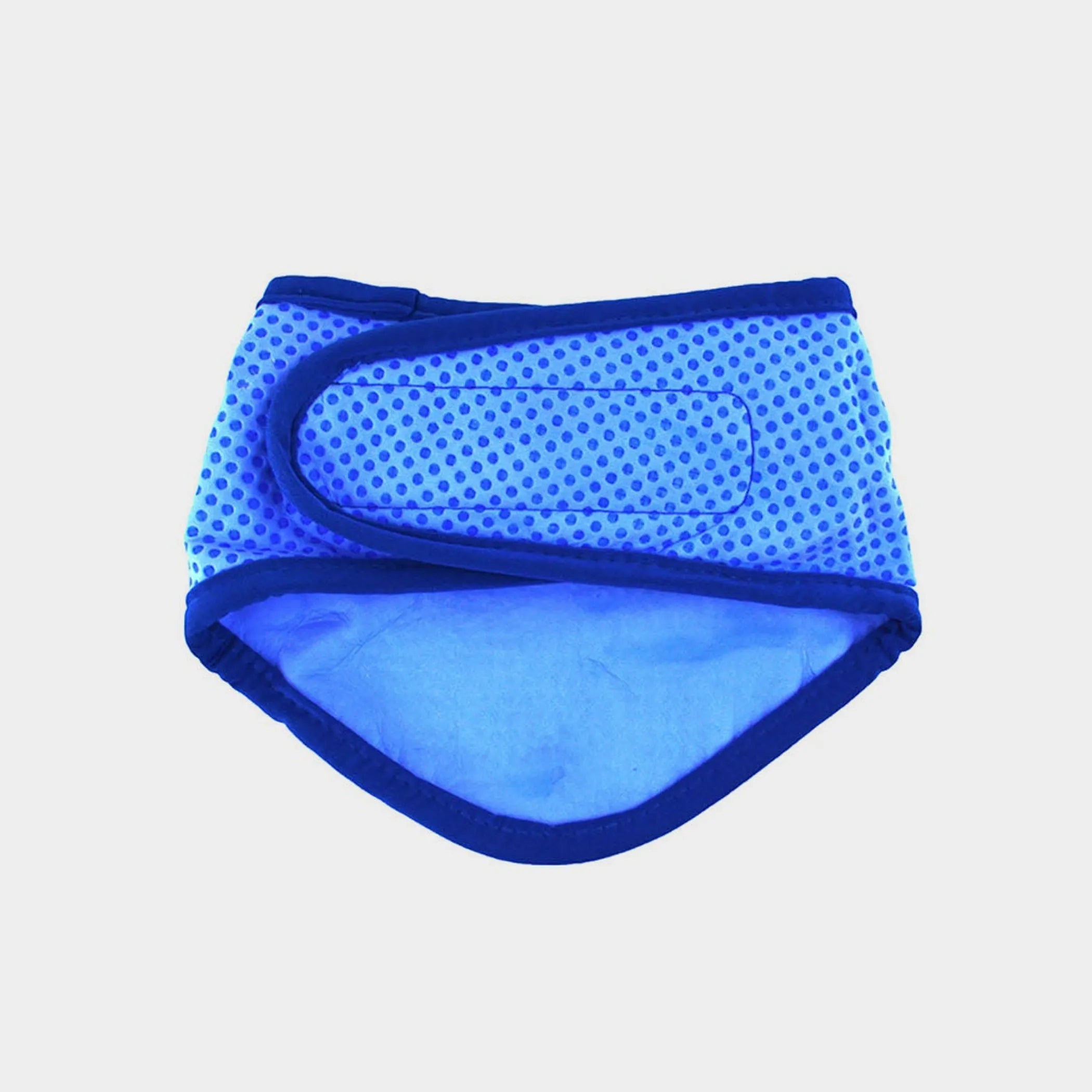 GF Pet  Ice Band