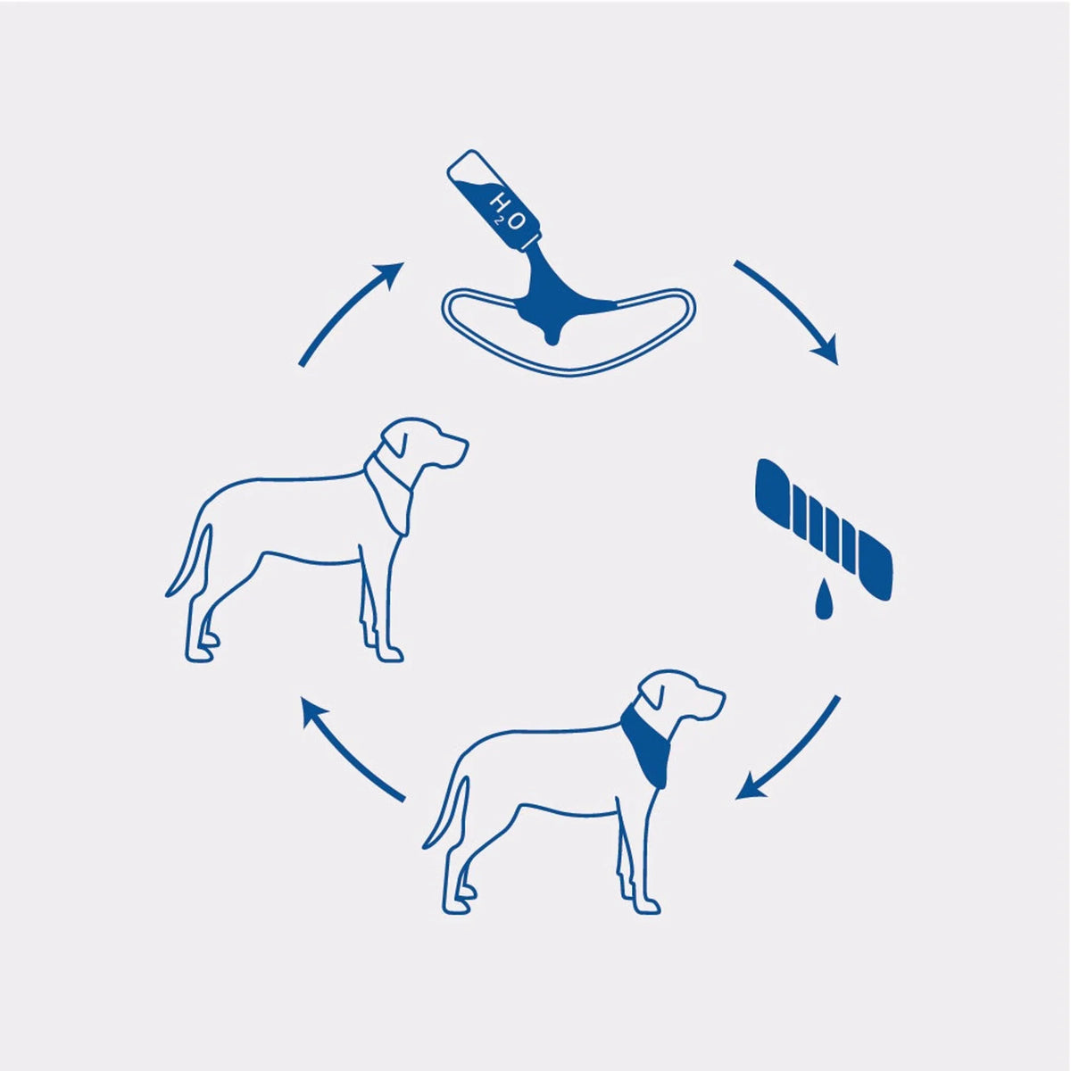 GF Pet  Ice Band