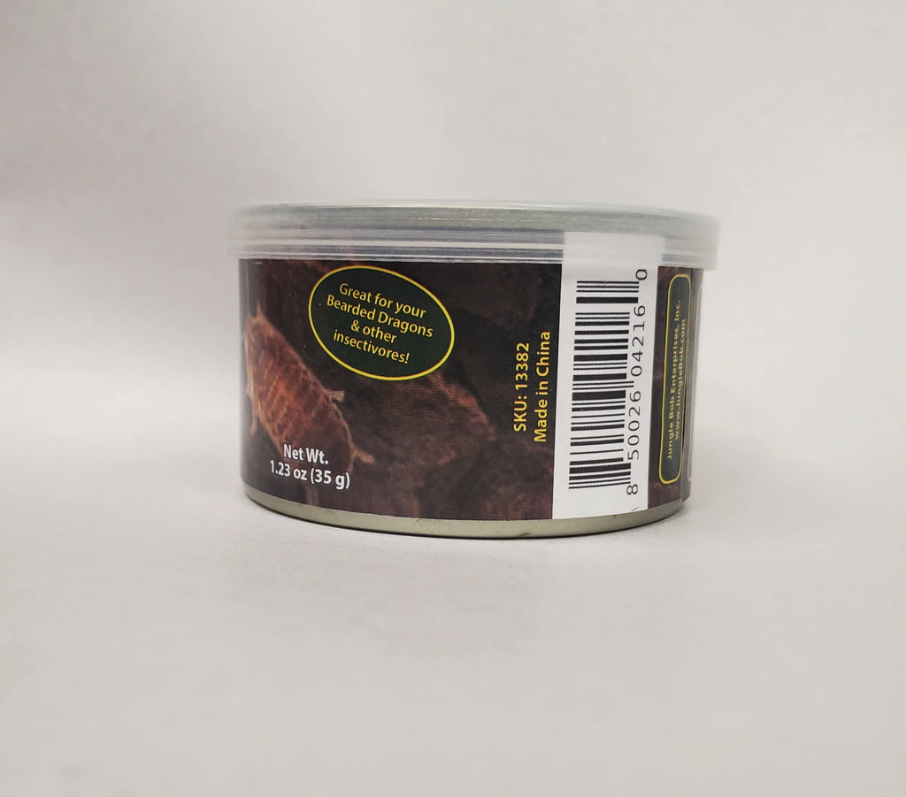 Jungle Bob Dubia Roaches In A Can Large 1.23Oz - Case Of 24 (Approx 25Ct)