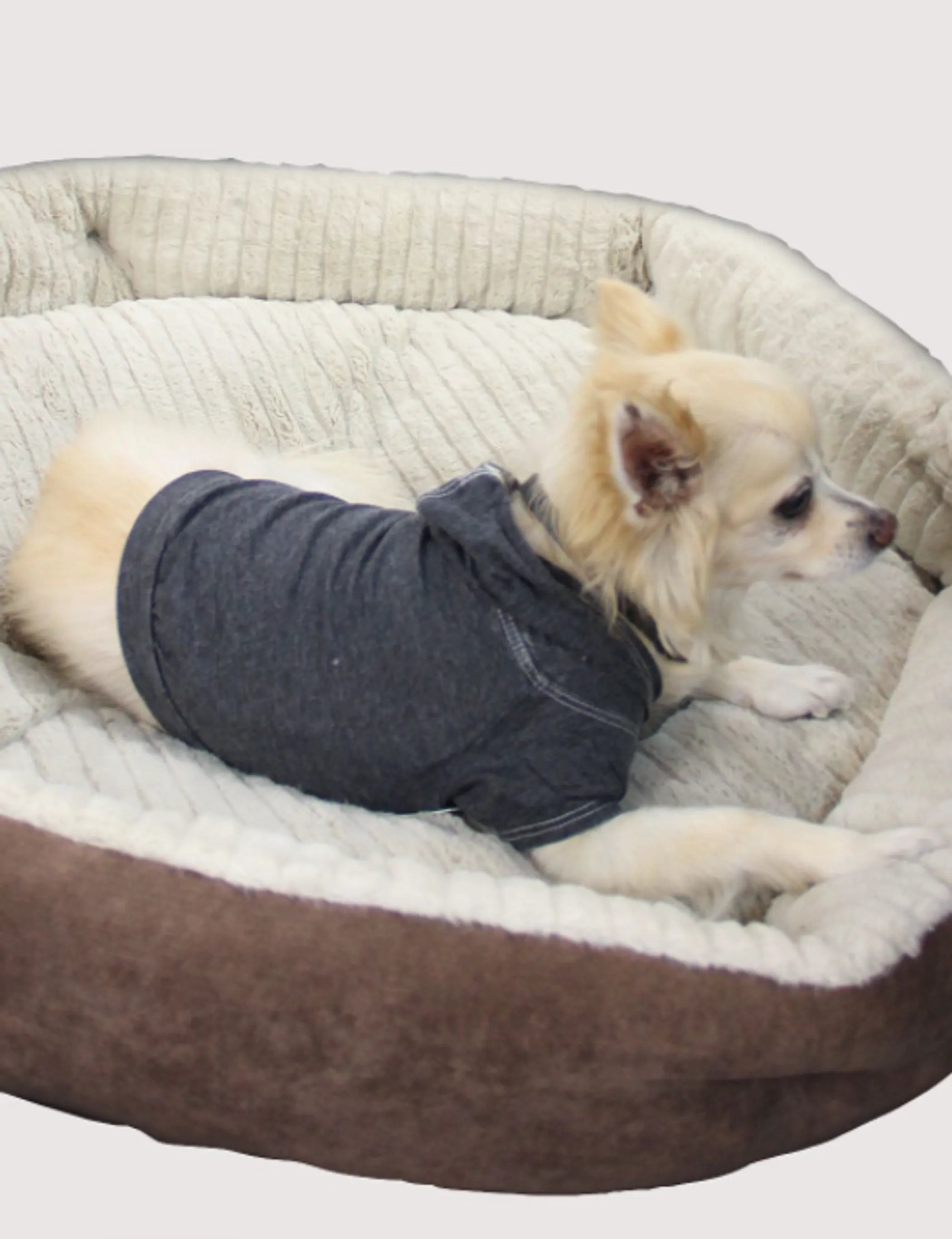 Doggy Hoodie